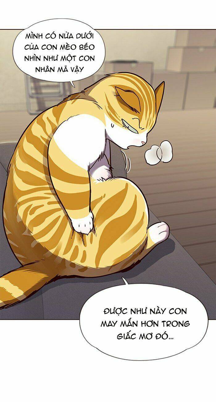 Hóa thân thành mèo chapter 65 - Upload bởi truyensieuhay.com