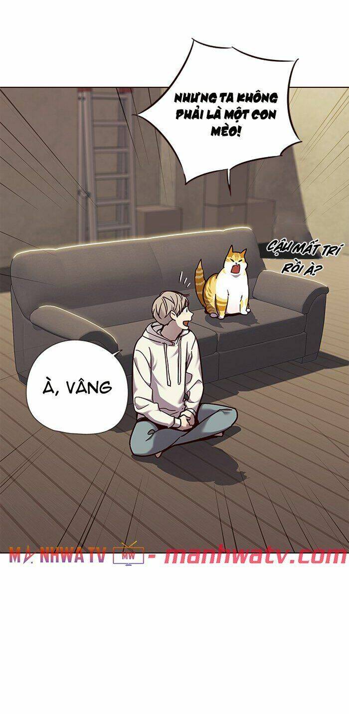 Hóa thân thành mèo chapter 65 - Upload bởi truyensieuhay.com