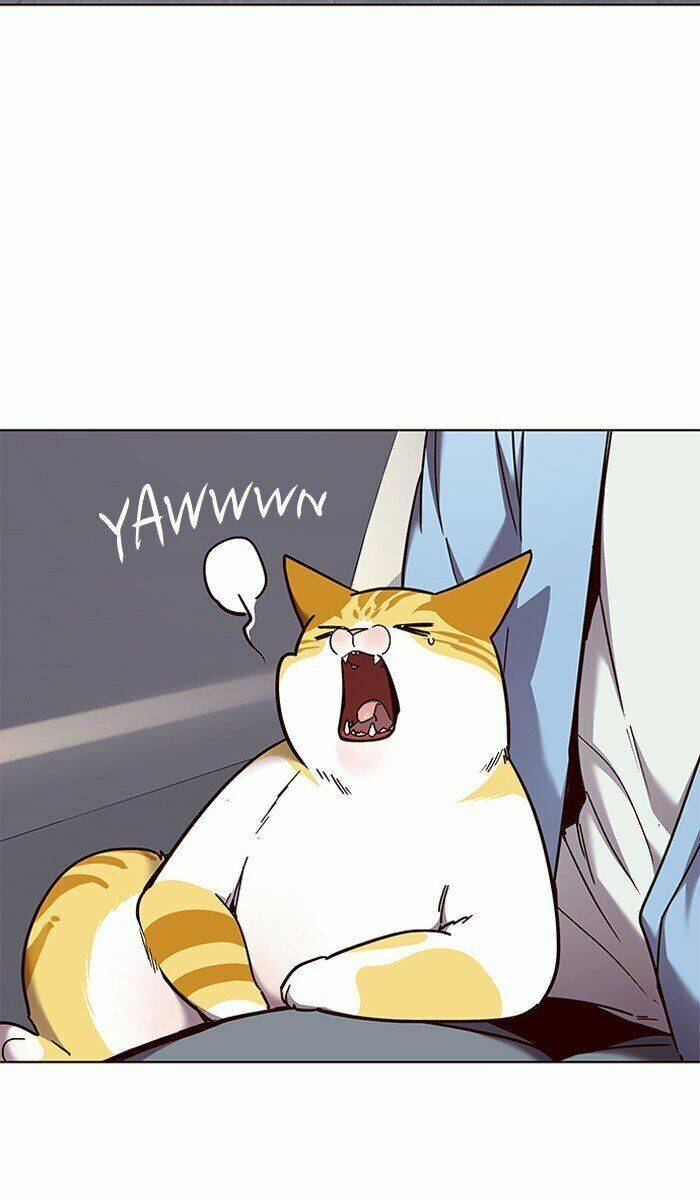 Hóa thân thành mèo chapter 67 - Upload bởi truyensieuhay.com