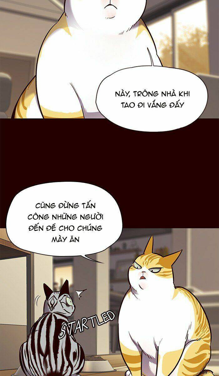 Hóa thân thành mèo chapter 67 - Upload bởi truyensieuhay.com
