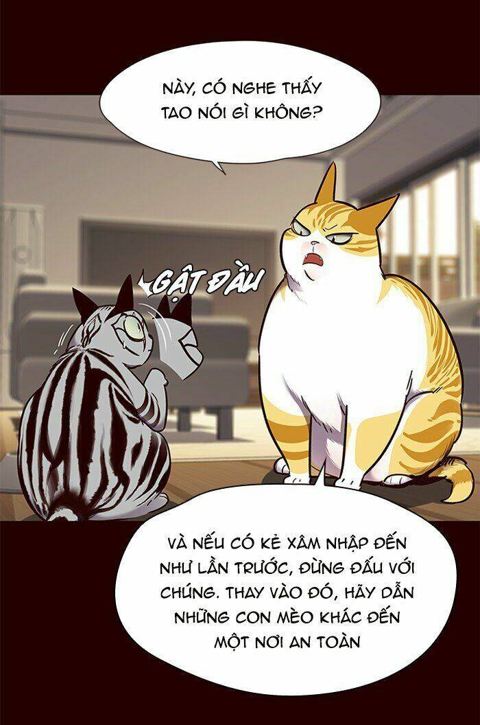 Hóa thân thành mèo chapter 67 - Upload bởi truyensieuhay.com