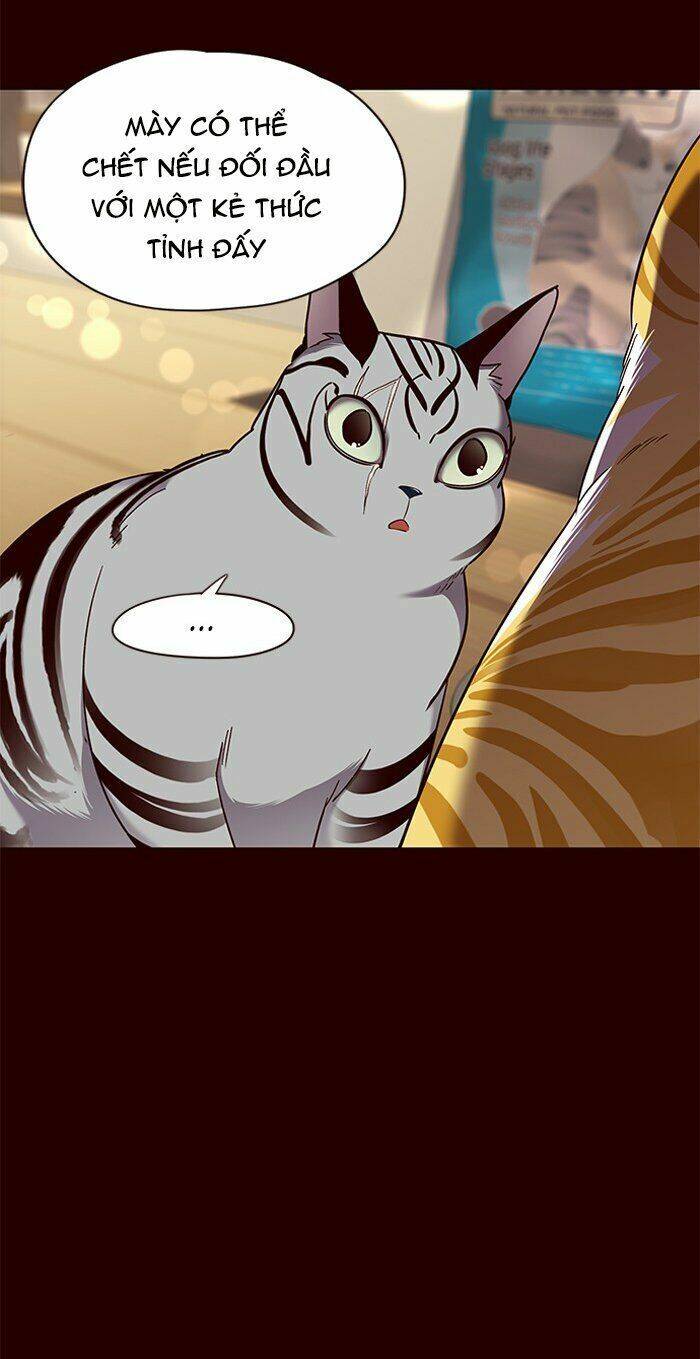 Hóa thân thành mèo chapter 67 - Upload bởi truyensieuhay.com