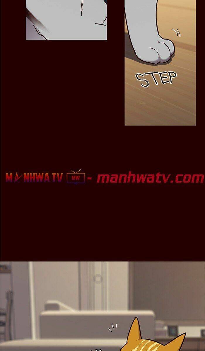Hóa thân thành mèo chapter 67 - Upload bởi truyensieuhay.com