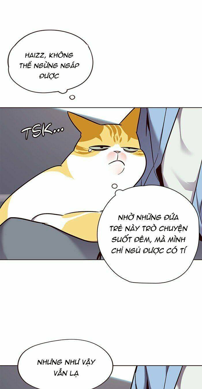 Hóa thân thành mèo chapter 67 - Upload bởi truyensieuhay.com