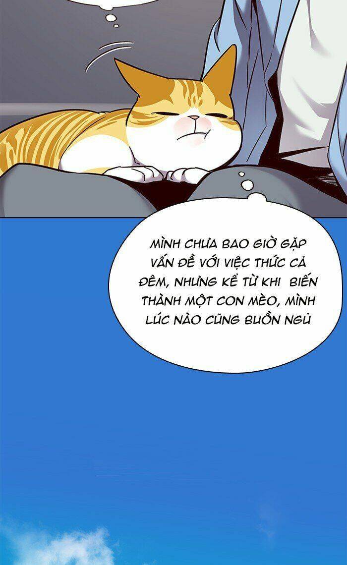 Hóa thân thành mèo chapter 67 - Upload bởi truyensieuhay.com