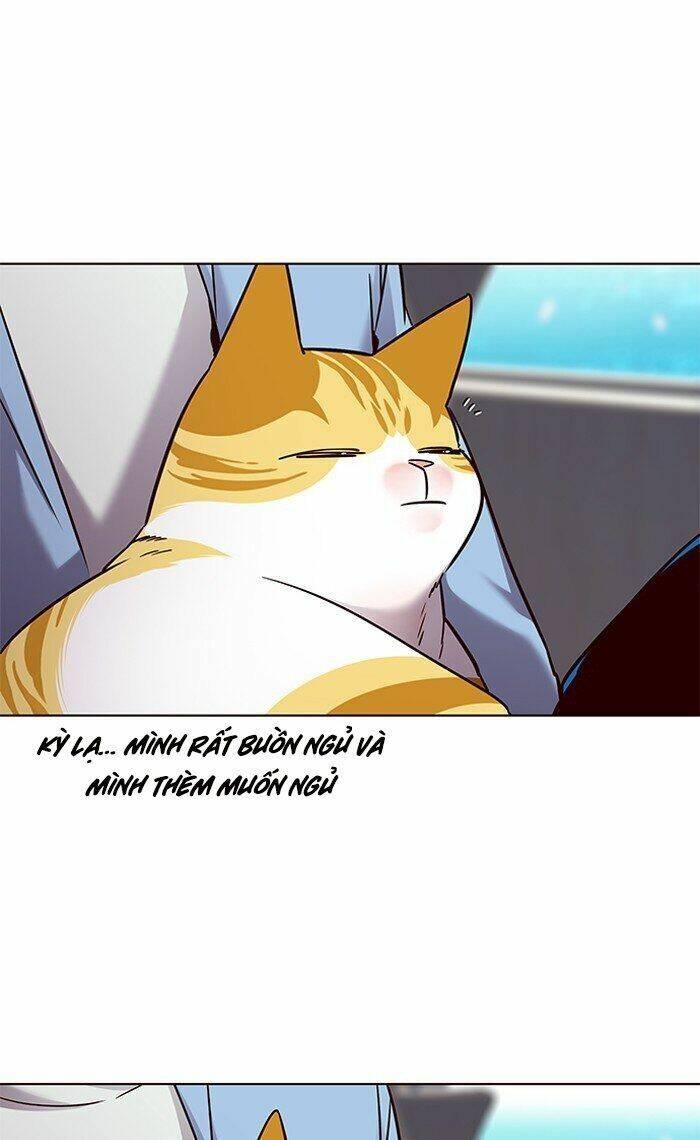 Hóa thân thành mèo chapter 67 - Upload bởi truyensieuhay.com