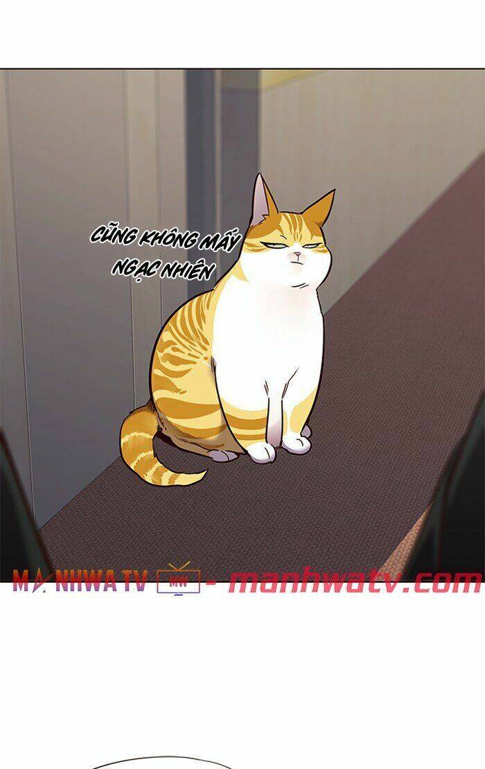 Hóa thân thành mèo chapter 68 - Upload bởi truyensieuhay.com