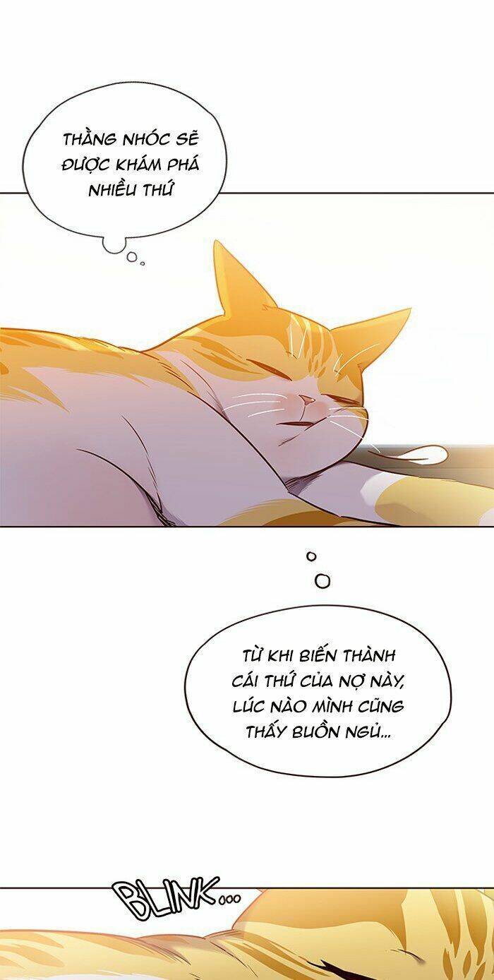 Hóa thân thành mèo chapter 70 - Upload bởi truyensieuhay.com
