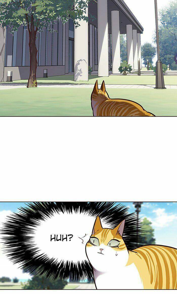 Hóa thân thành mèo chapter 71 - Upload bởi truyensieuhay.com