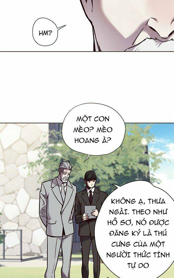 Hóa thân thành mèo chapter 71 - Upload bởi truyensieuhay.com