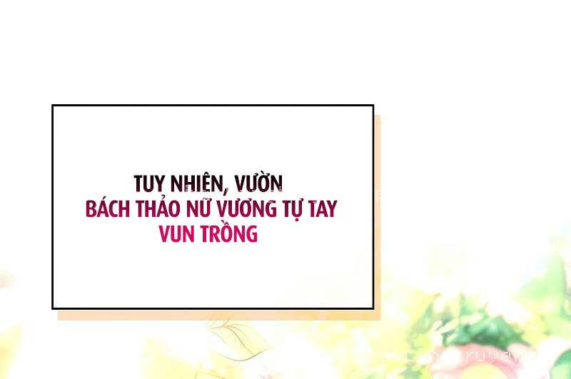 Thiên Tài Ma Pháp Sư Giấu Nghề chapter 81 - Upload bởi truyensieuhay.com