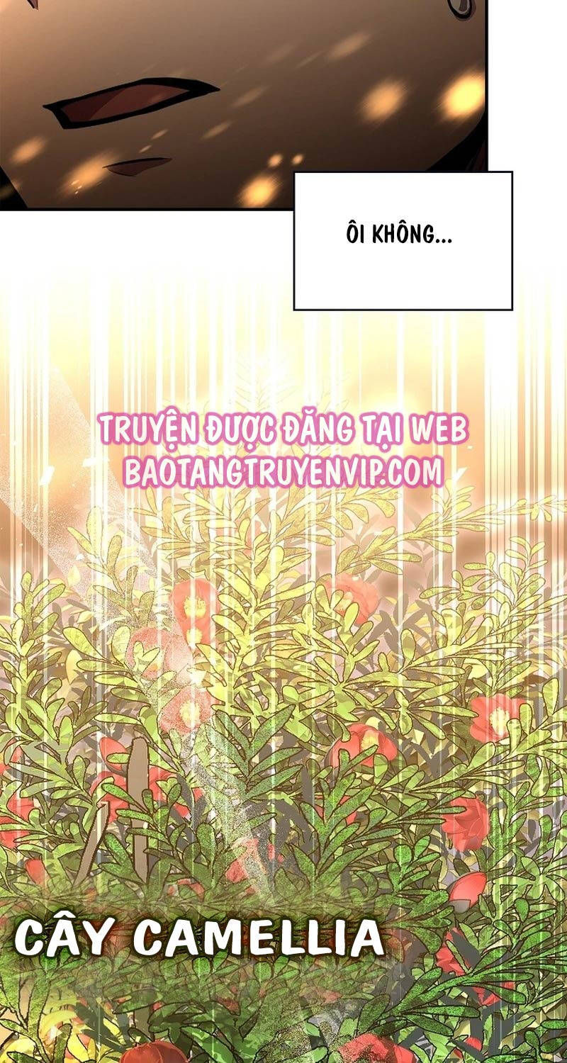 Thiên Tài Ma Pháp Sư Giấu Nghề chapter 83 - Upload bởi truyensieuhay.com