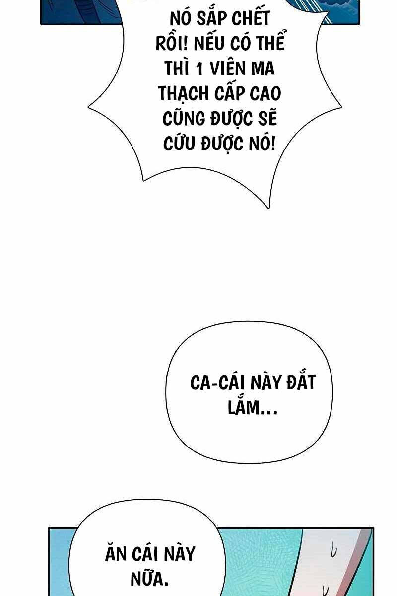 Những Ranker Cấp S Mà Tôi Nuôi Dưỡng chapter 113 - Upload bởi truyensieuhay.com