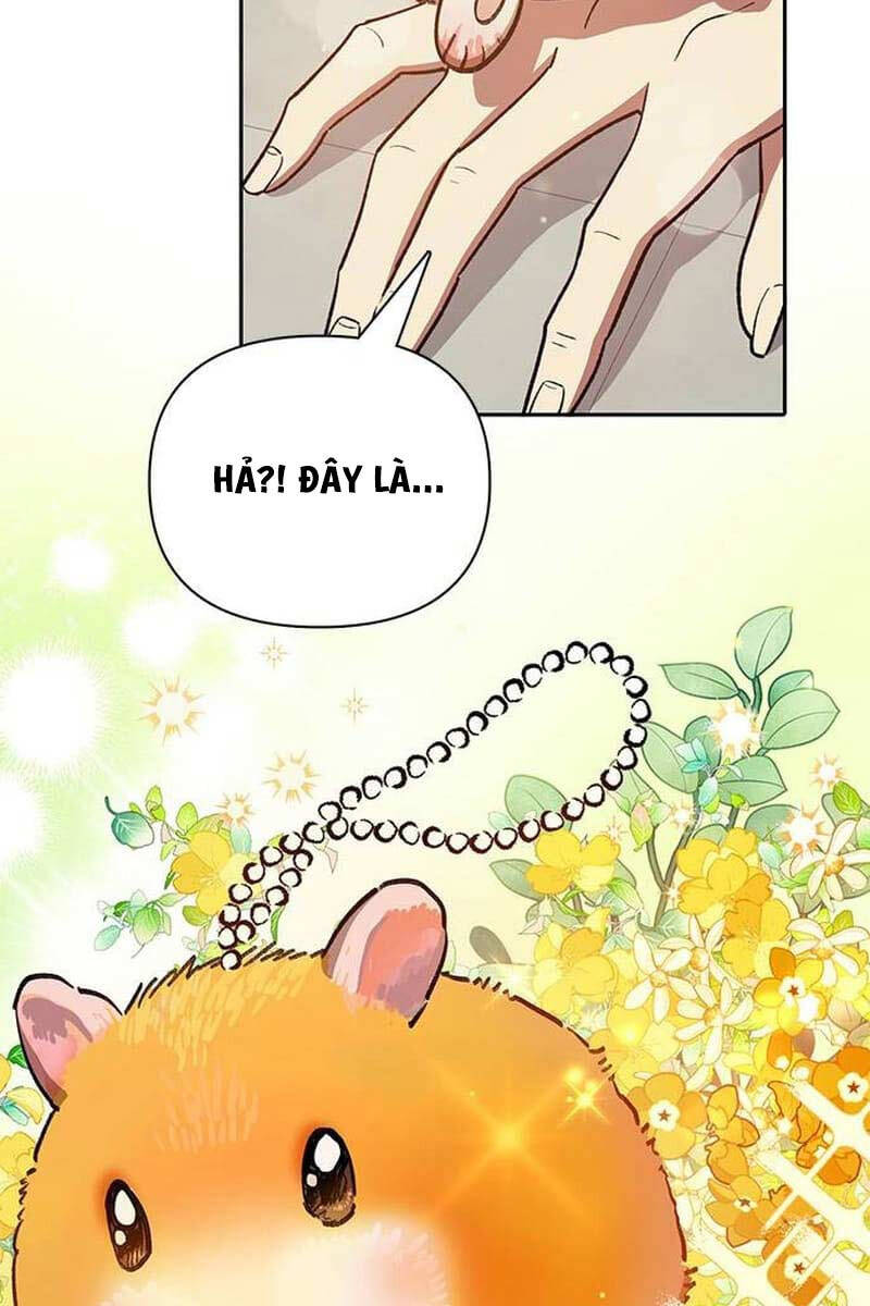 Những Ranker Cấp S Mà Tôi Nuôi Dưỡng chapter 123 - Upload bởi truyensieuhay.com